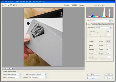 Picture of WhiBal Cards in Photoshop Camera Raw