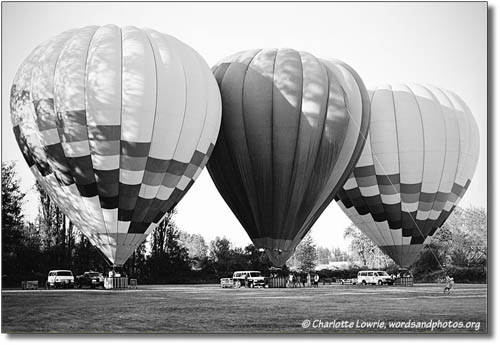 Hot Air Balloons