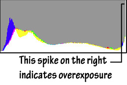 Overexposed image histogram